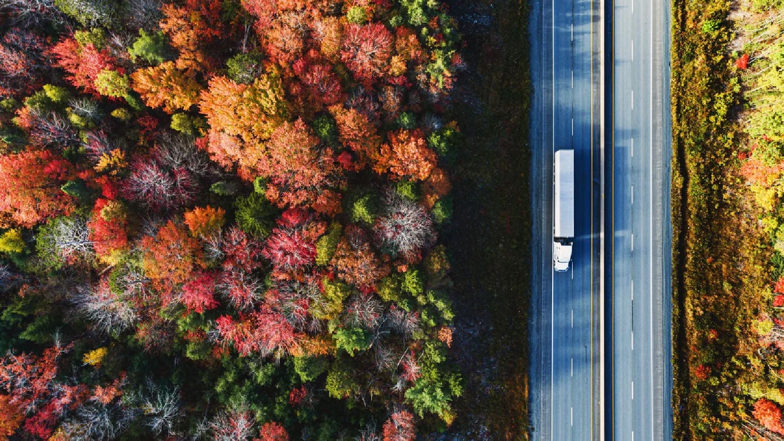 Aerial view of a highway cutting through a forest of vibrant autumn foliage, with a white semi-truck driving along the road.