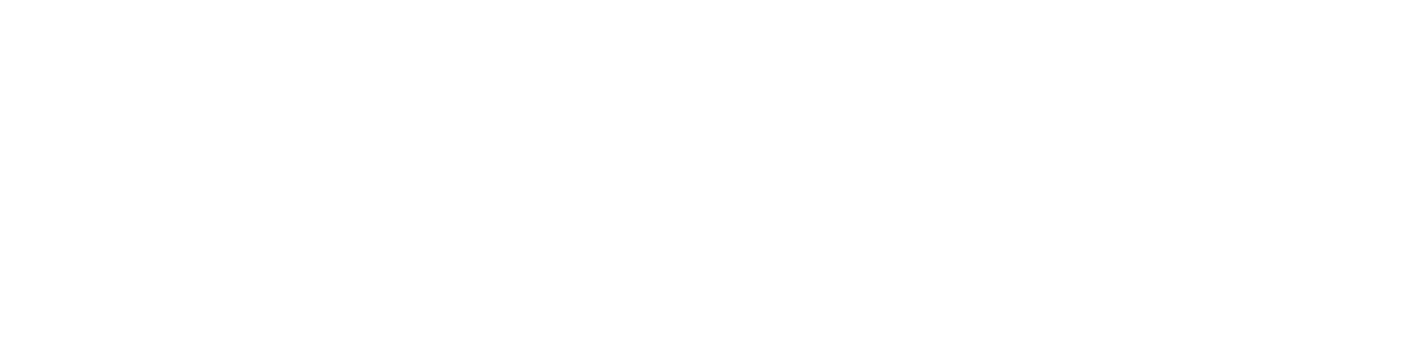 Infinera Logo Light