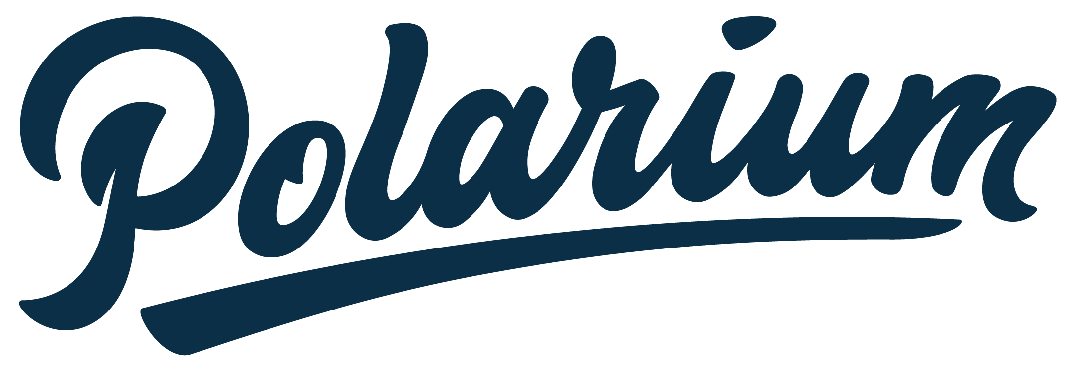 Polarium Logo Ink
