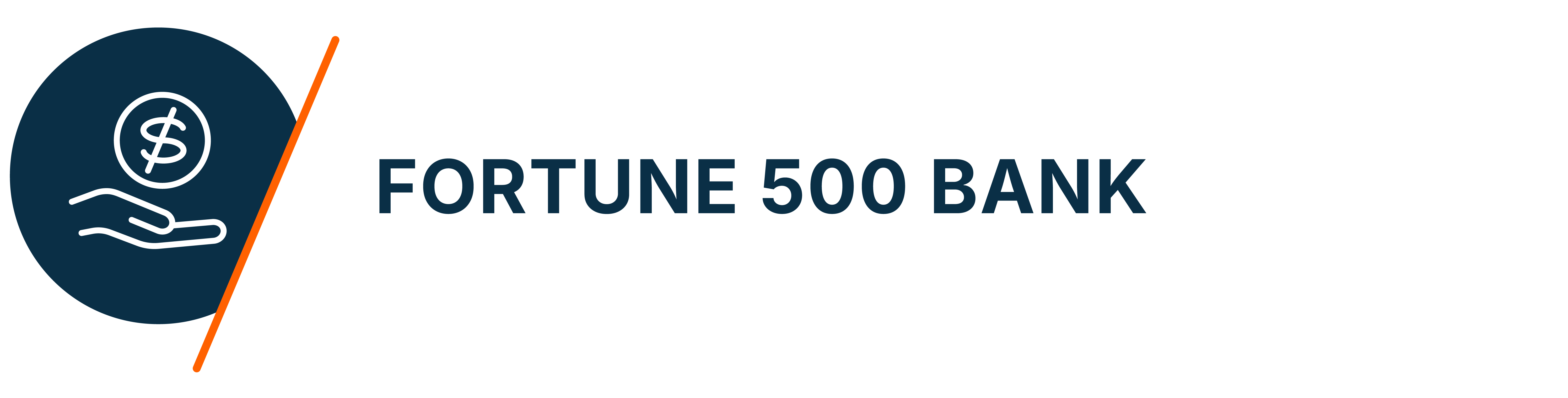 Fortune 500 Bank Anon Logo