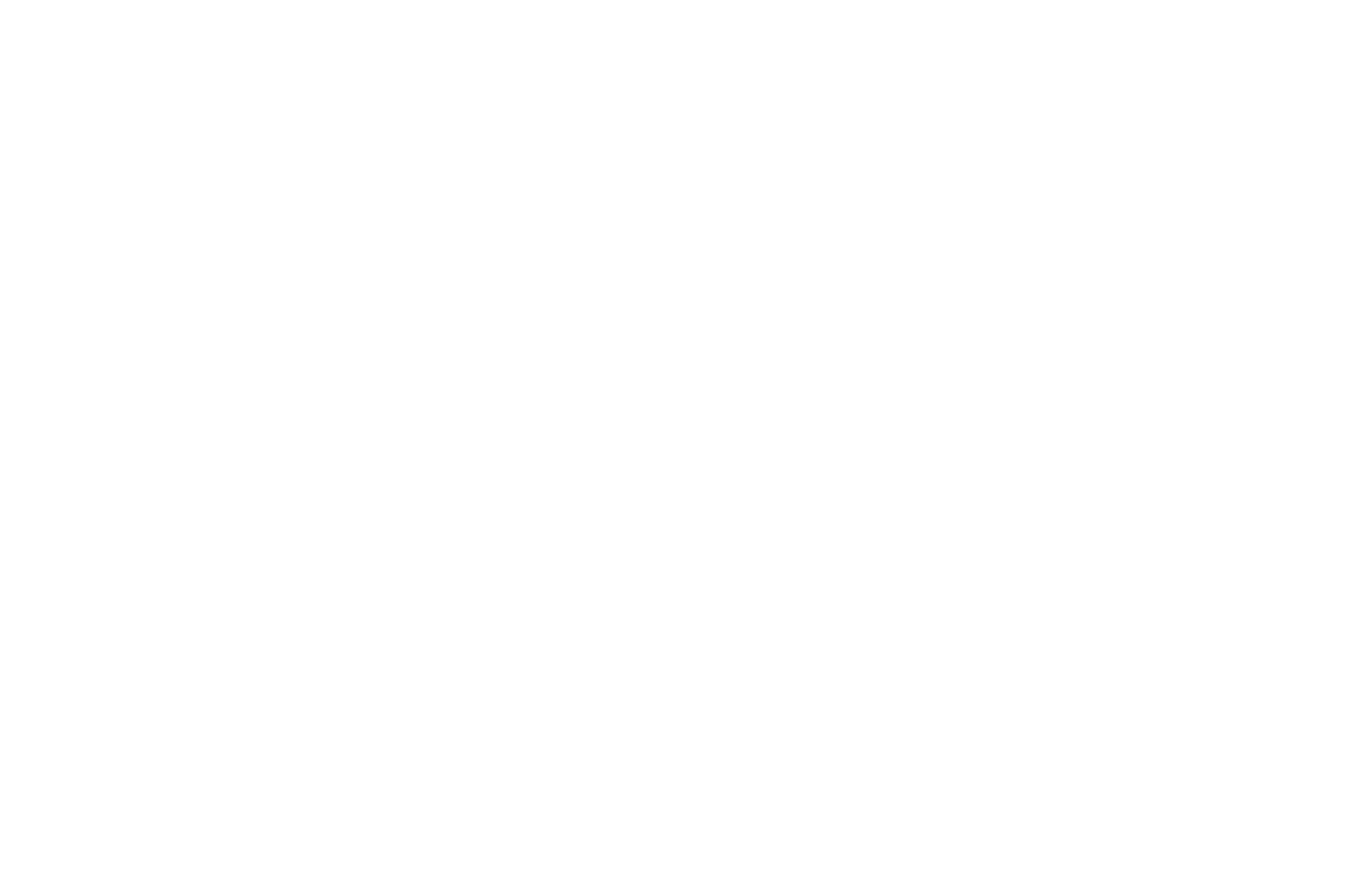 Autodesk Logo White