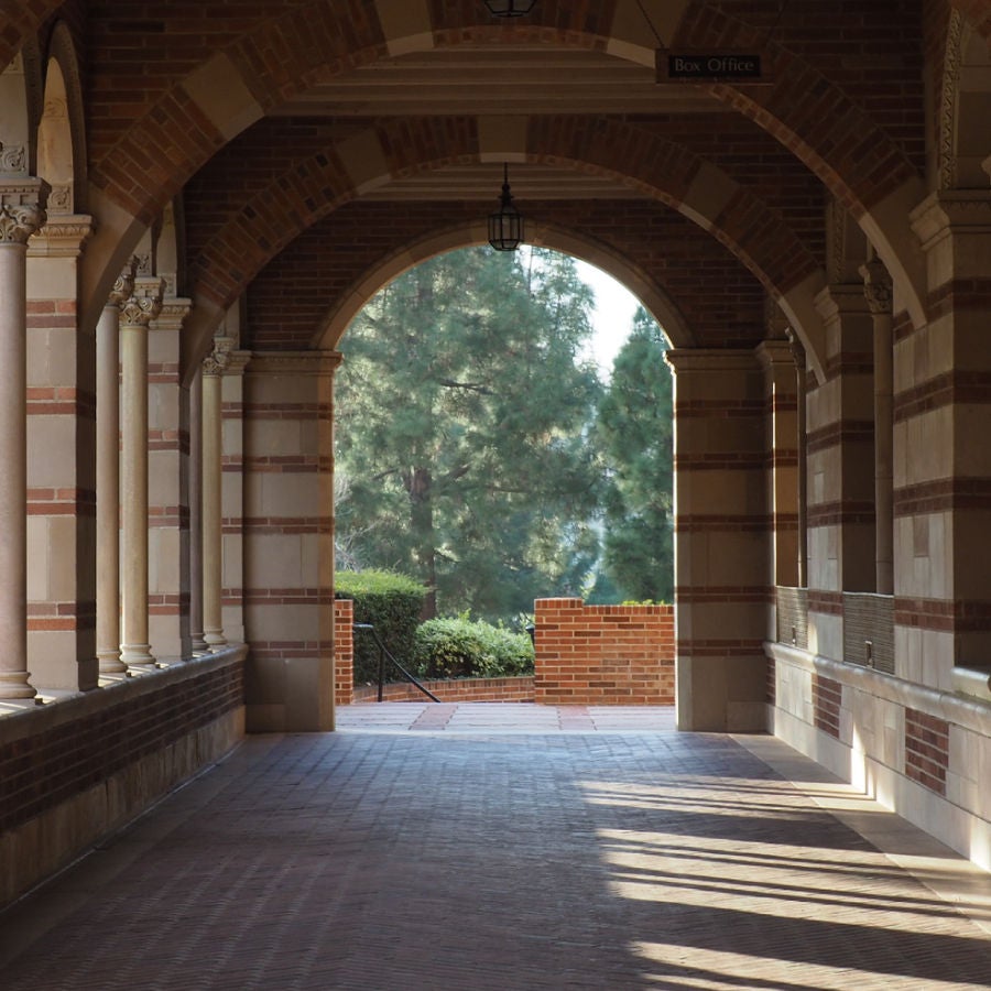A picturesque brick walkway lined with greenery, leading through a serene outdoor space, enhancing the natural beauty.