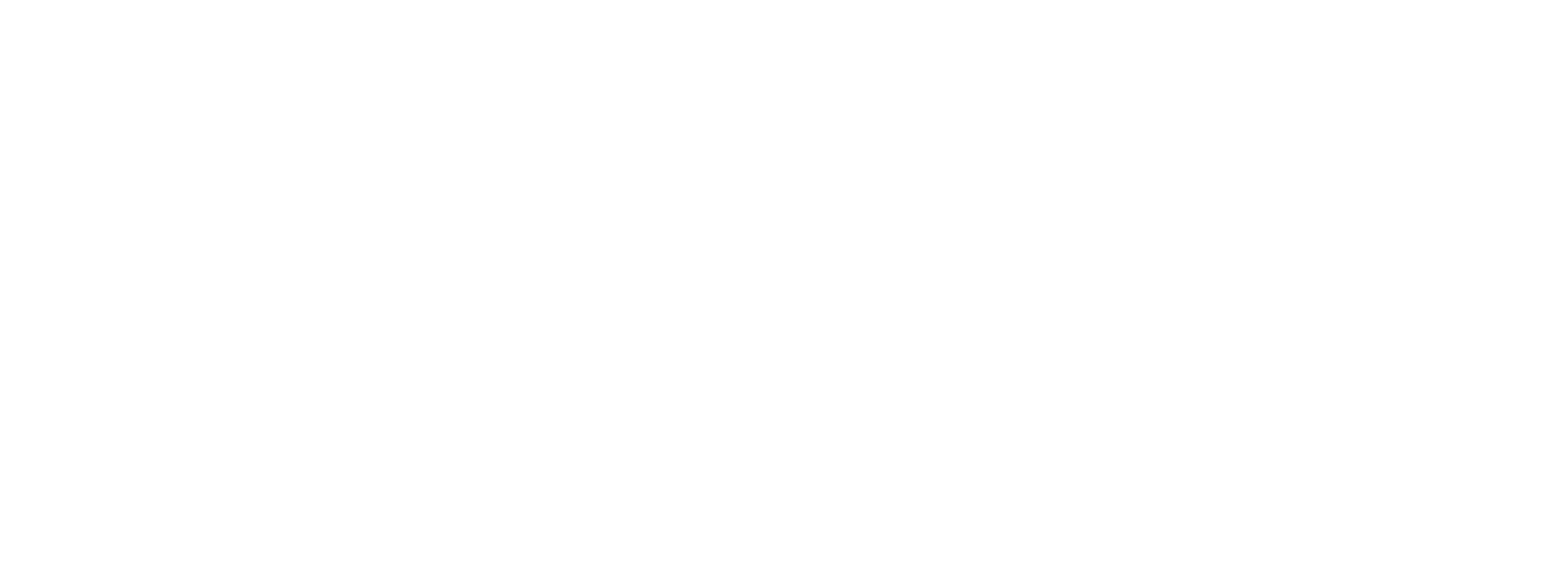 Pepkor Speciality Light Logo