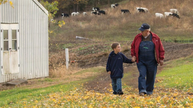Grandpa holding grandsons hand with cows in the background