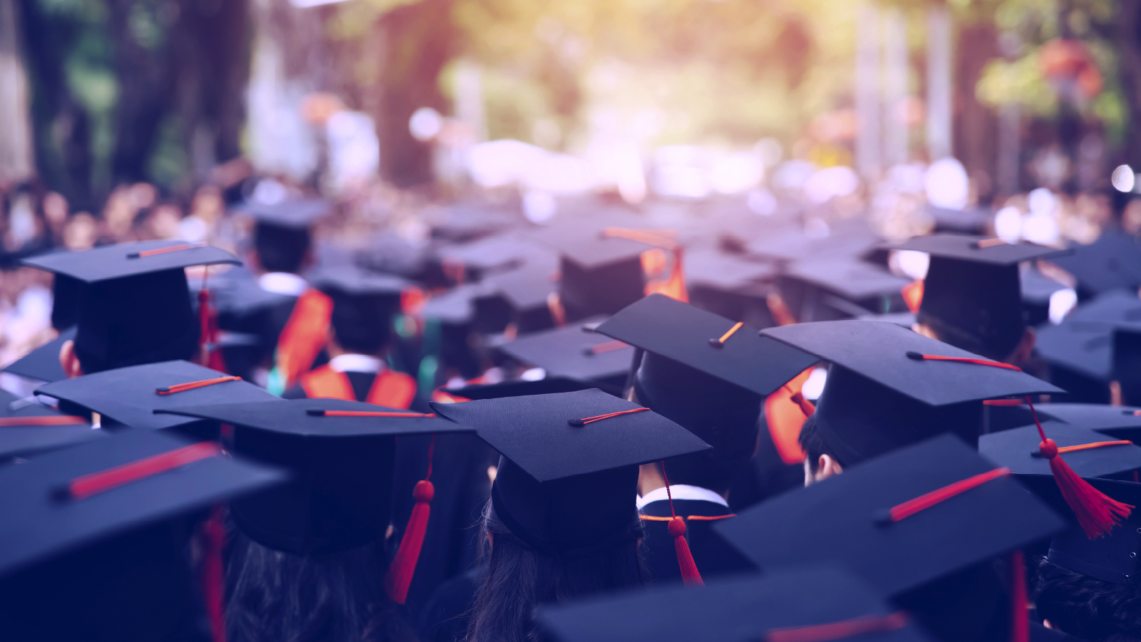 Crowd of students wearing graduation caps