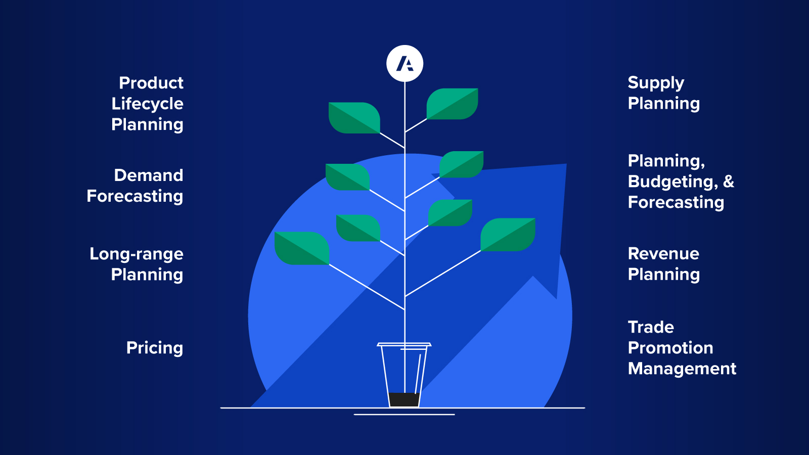 Anaplan image